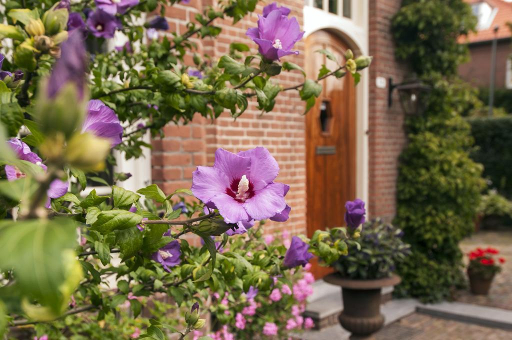 B&B De Schiedamse Suites Dış mekan fotoğraf